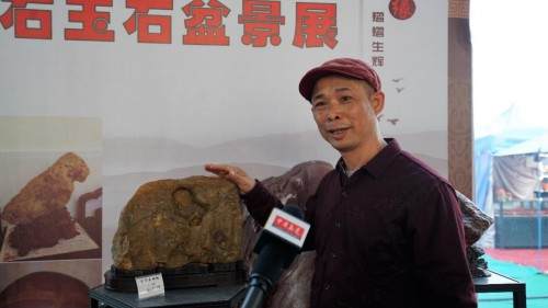 广东中山古镇迎来了首届奇石玉石盆景文化大型展览