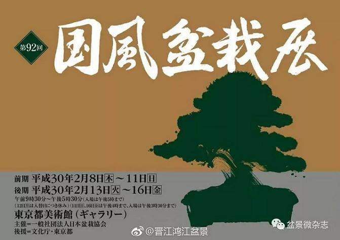 国际盆景情报谍照——第92回日本国风盆景展