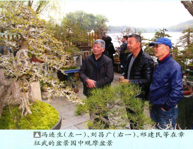  凯宇盆景园召开了第五届湖北盆景展筹备工作会议     标题检测