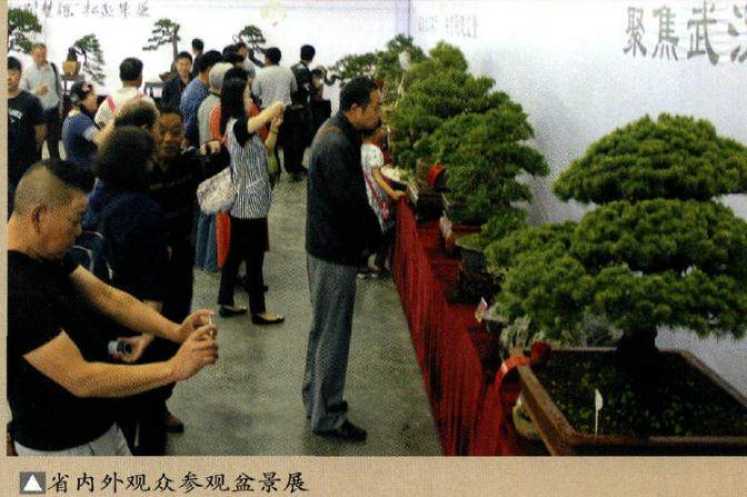“荆楚谣”杯盆景展在武汉客斤文化博览中心隆重举办