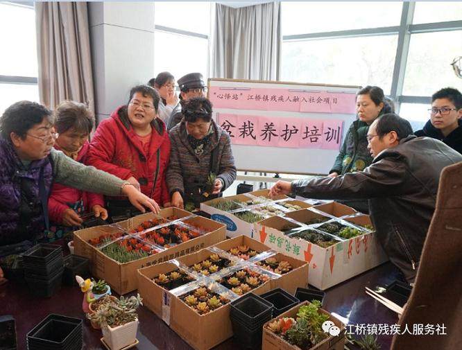 江桥镇“心怿站”组织残疾人参与盆栽养护