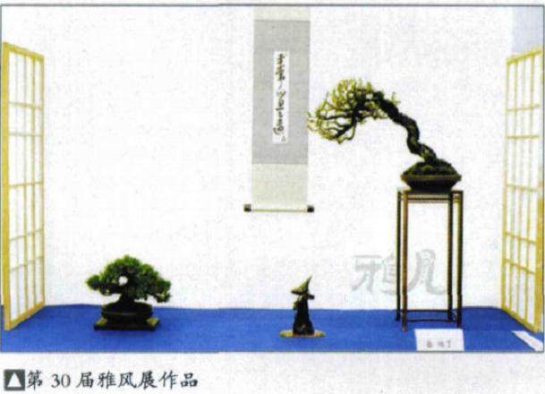 日本盆景展厅展示的基本风格有三种
