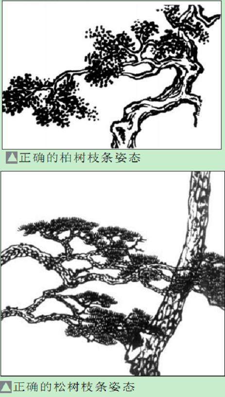 如何用神枝来增强了盆景树木的气势？