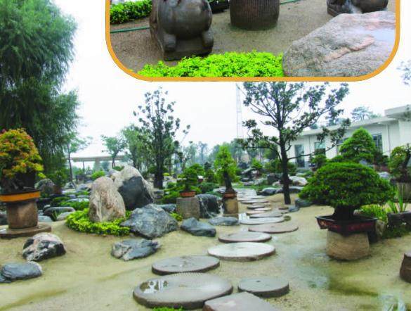 2008年5月 中国首届唐风盆景展将在这里举行