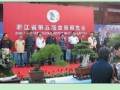 浙江第五届盆景展在金华市中国茶花文化园开幕