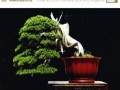 《花木盆景》杂志由湖北省绿化委员会主办