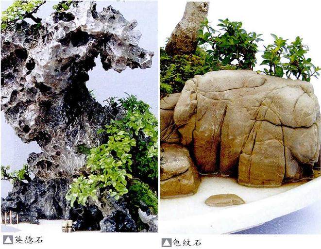 制作树石盆景常用的10种石头