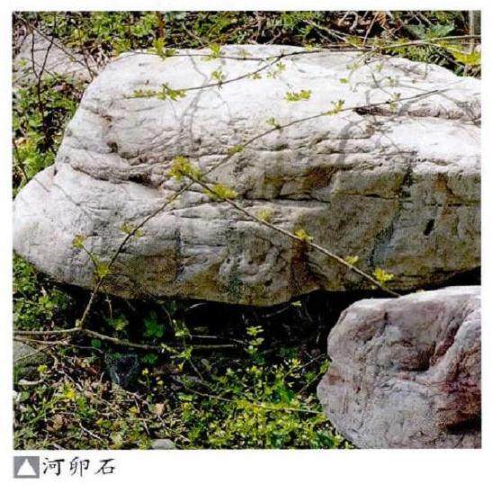 制作树石盆景常用的10种石头