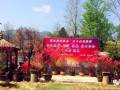 新县根雕盆景花卉奇石协会第六届联展公告