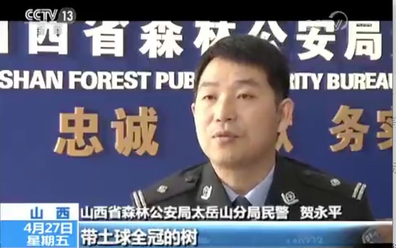 山西警方破获一个盗挖盆景的团伙