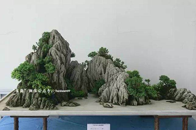 山水盆景怎么制作加工的5个方法