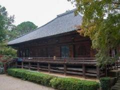 新浦寺盆景博物馆提供丰富多彩的活动