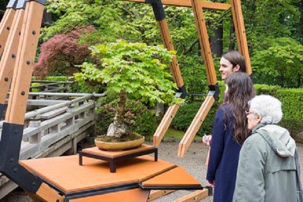 波特兰日本花园举办以瑞安尼尔为题的盆景展