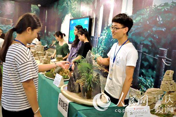 重庆职业学院举办园林专业《盆景制作》课程