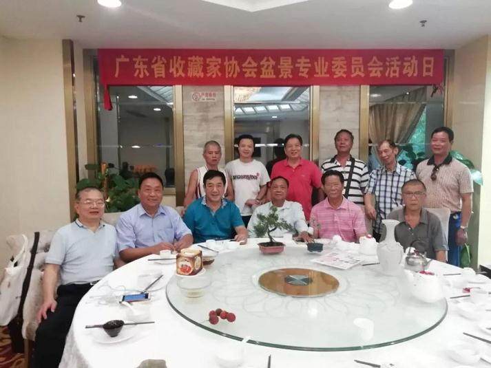 协会盆景专委在广州举行今年第二次活动日