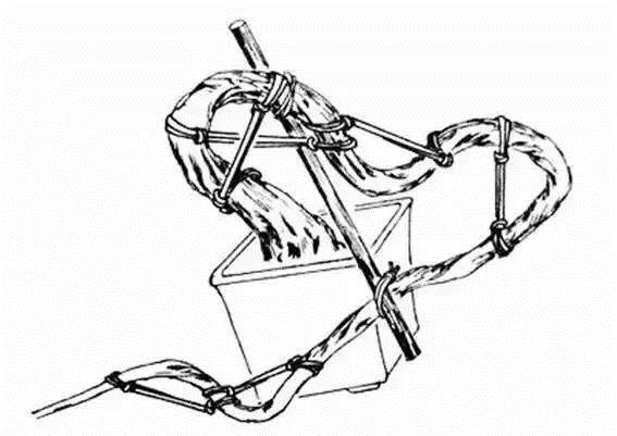 图解 盆景造型的工具准备与实际操作