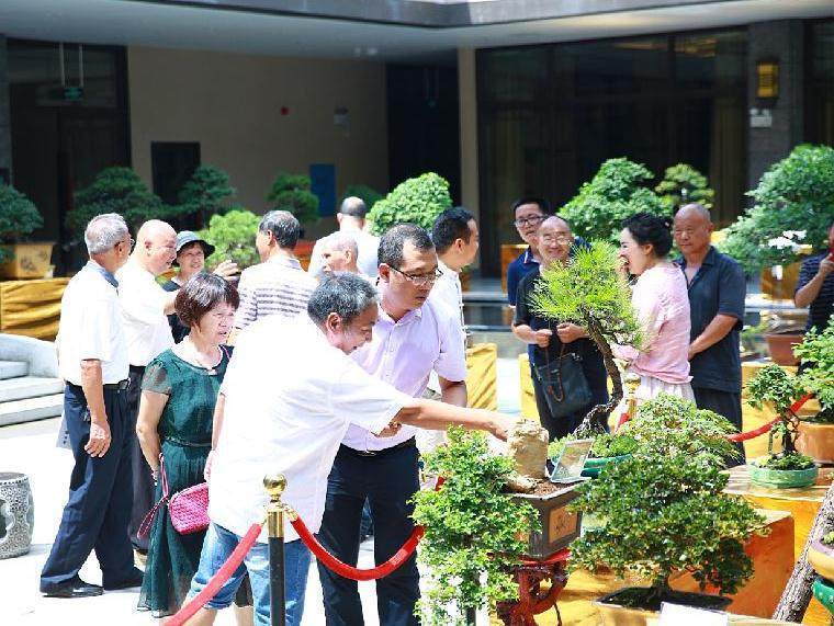 衡阳盆景艺术协会会员作品展颁奖盛典隆重举行