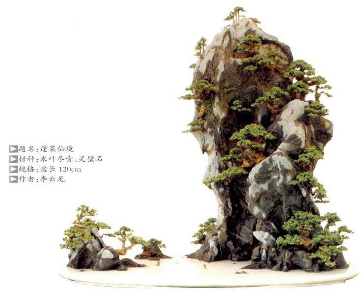 在山水盆景的创作上 李云龙是走树石结合的路子