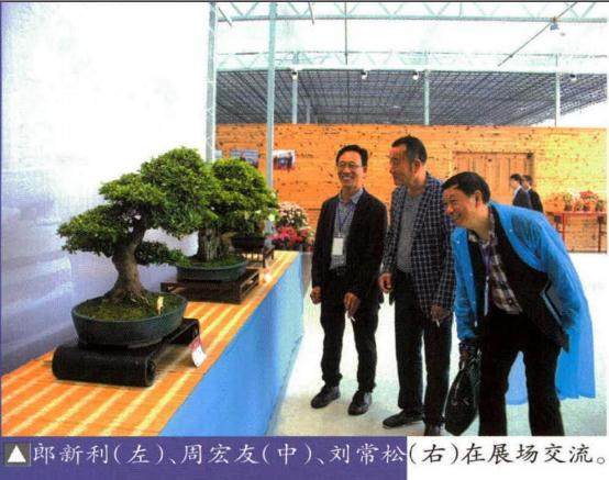 中国杜鹃盆景第一镇授牌及盆景展在浙江双林举办