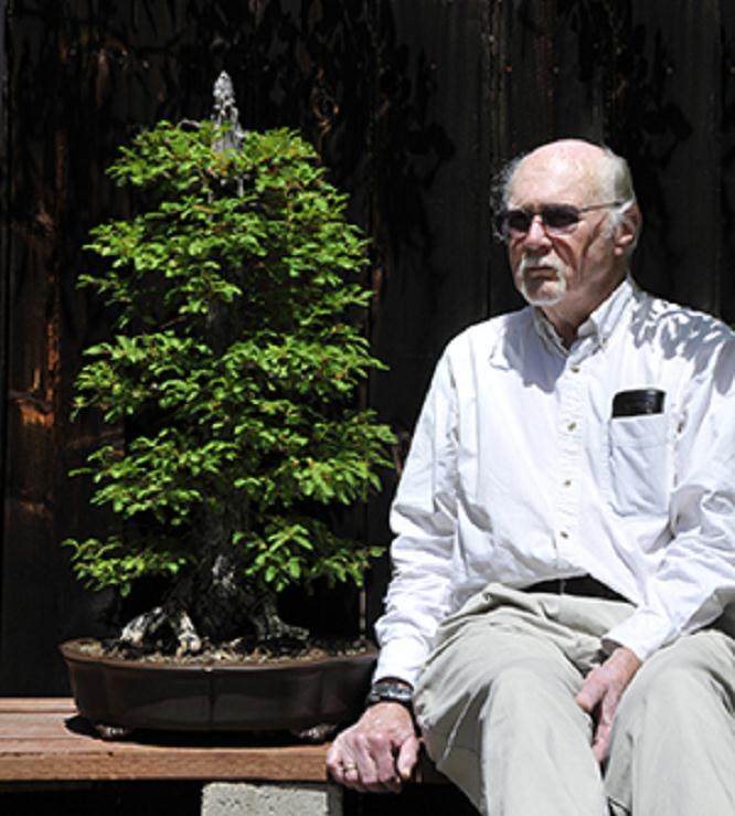 Lew Buller在59岁时发现了圣地亚哥盆景俱乐部