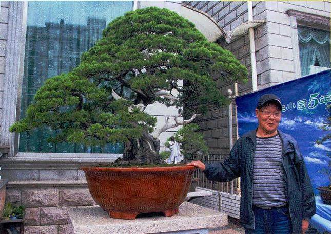 祝生祥先生精心打造的盆景庭院——祥生小园里