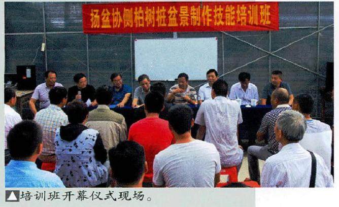 扬州盆景艺术家协会举办的侧柏盆景制作培训班