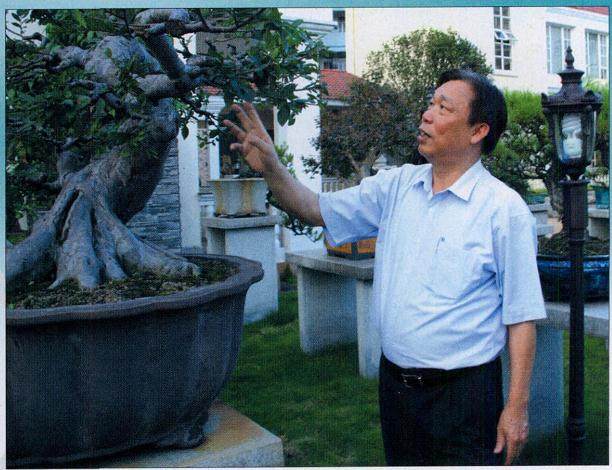 拜访素有“盆景收藏大家”之称的张华江先生