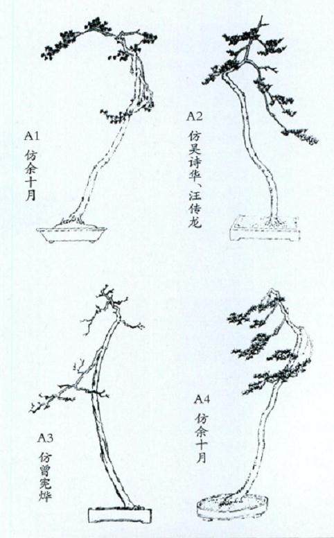 文人树与一般盆景形态比较 有下列4个特点