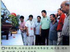 安徽第一届皖风盆景展于2010年9月4日举办