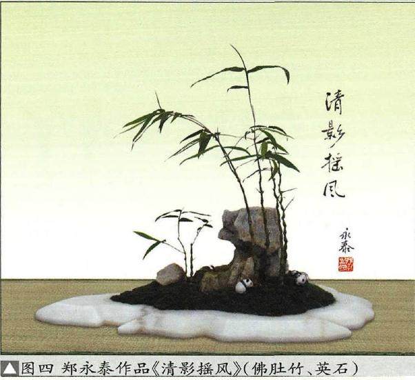 竹草类盆景的制作（竹子篇续）之五