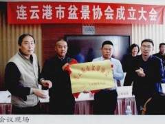 连云港市盆景协会成立大会在新浦振兴戴斯酒店召开