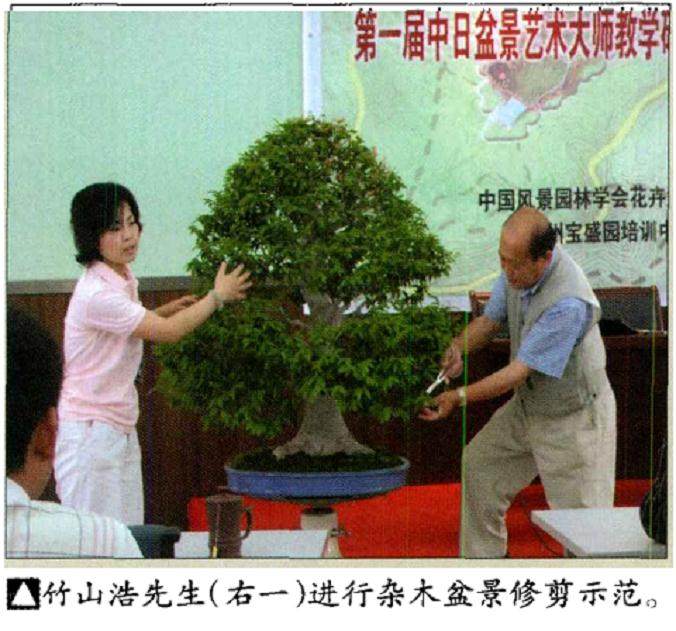 首届中国盆景高级研修班第二班在常州宝盛园举办