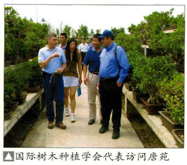 国际树木种植学会代表团访问了中国唐苑盆景园