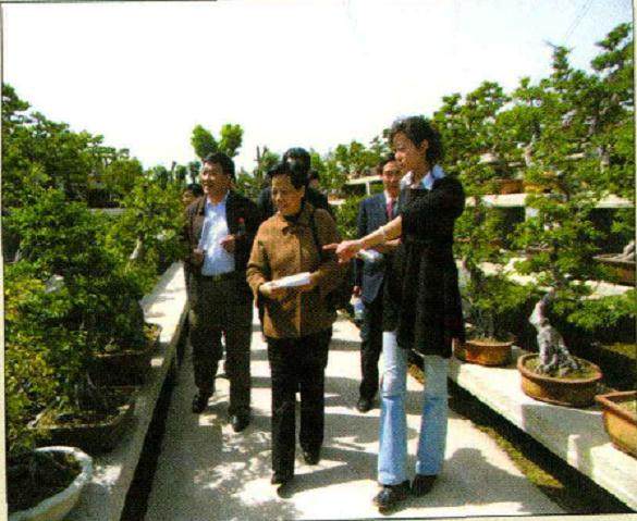 在万达集团领导的陪同下参观了中国唐苑盆景园