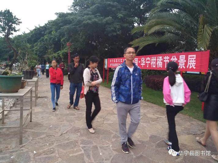 华宁县盆景赏石协会在泉乡广场举办盆景展