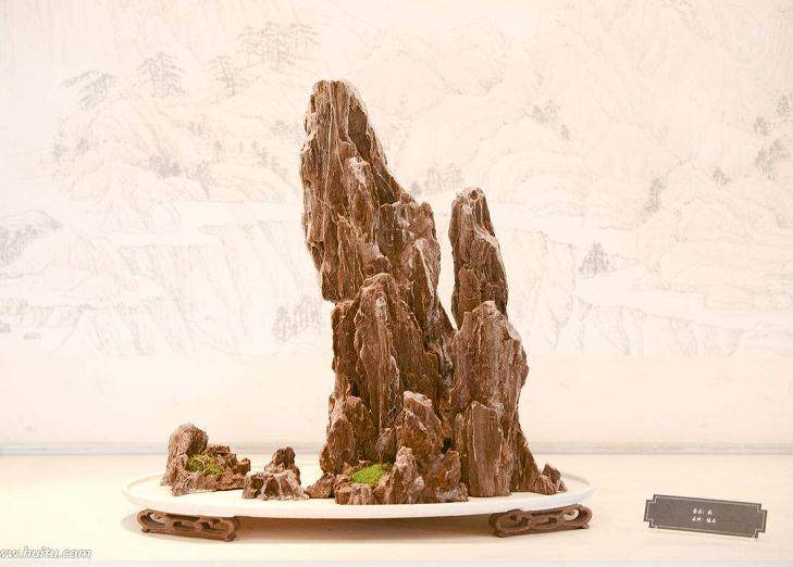 香港步兵旅在石岗营区举行盆景文化创意展