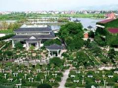 鲍家盆景园位于浙江省杭州市余杭区