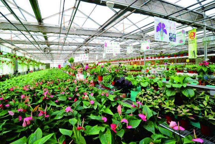 《福建省花卉产业发展规划（2011～2020 年）》
