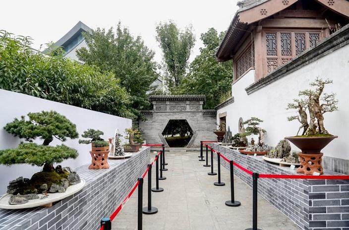 中国盆景艺术论坛将于9月20日在园博馆举行
