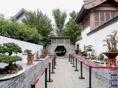 中国盆景艺术论坛将于9月20日在园博馆举行