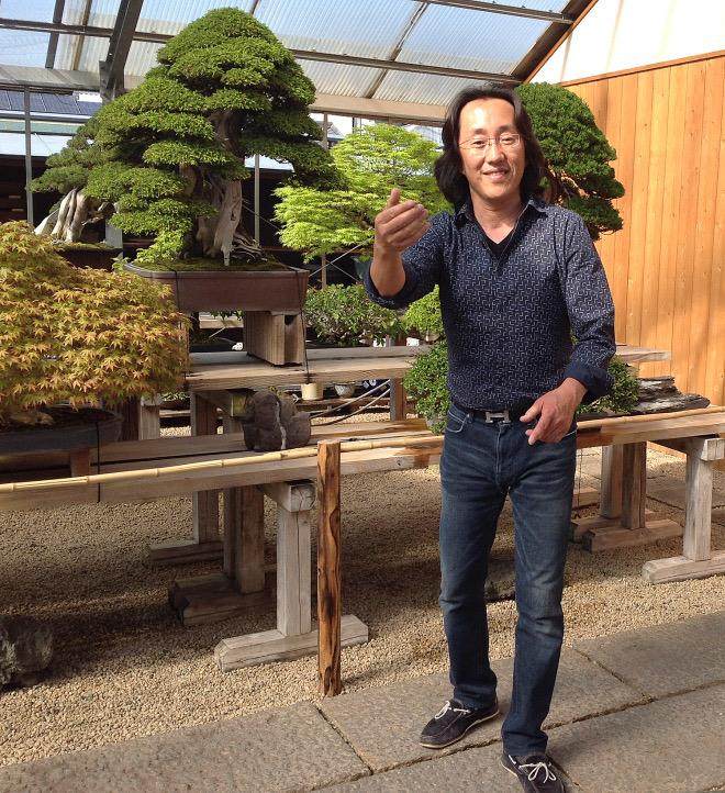 我在日本花园做盆景顾问时一些往事