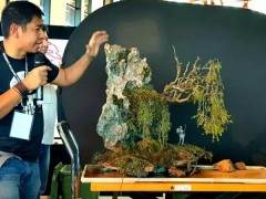菲律宾盆景艺术家现场示范表演