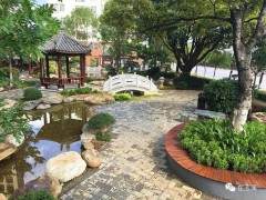 云南首个大型清香树盆景园
