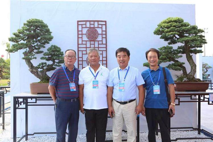 广东中山举行2018年国际盆景精品展