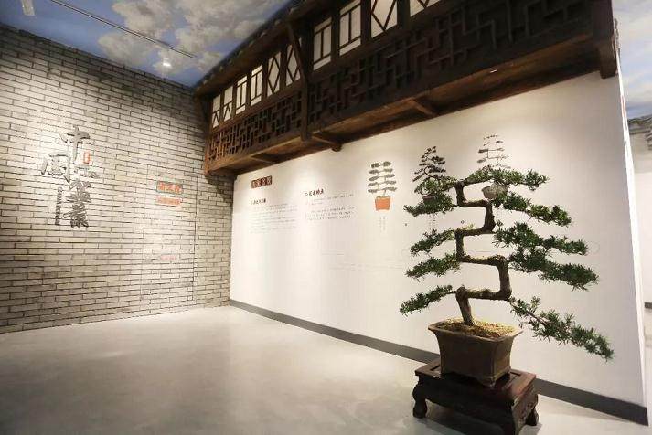 昨日，江苏盆景博物馆正式开馆啦