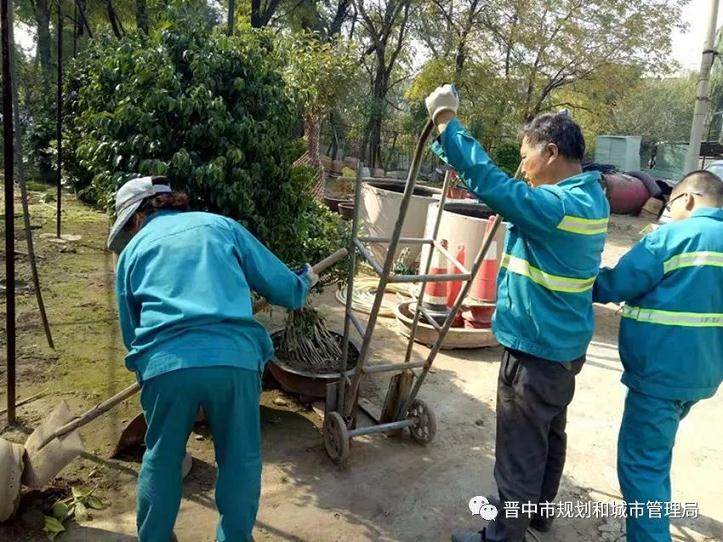 晋中市园林局开展花卉盆景越冬管理工作