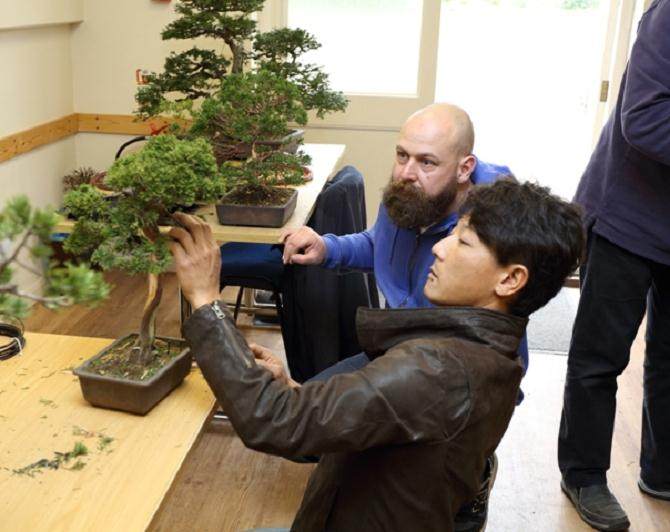 日本最优秀的年轻盆景艺术家之一大雅的研讨会