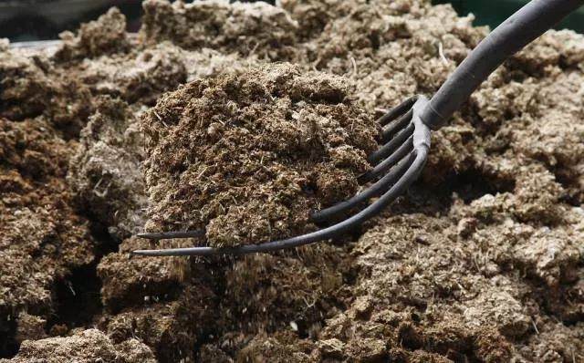 如何改良盆栽土壤的排水 通气性
