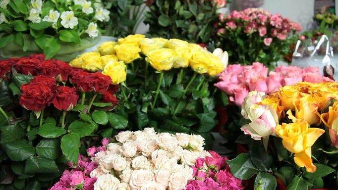 漳州市9个月花卉出口3558.1万美元 较去年同期略增