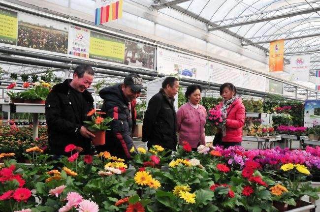 3月是盆花销售的传统旺季 由于气候适宜 需求旺盛